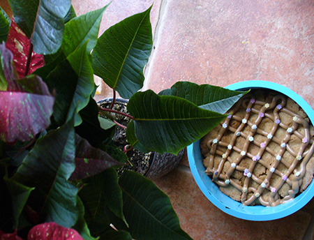 Narancsos sárgarépás mazsolás cupcake(Rátóti Zoltán)